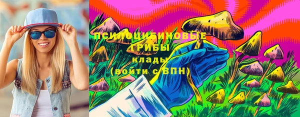 герыч Верхний Тагил