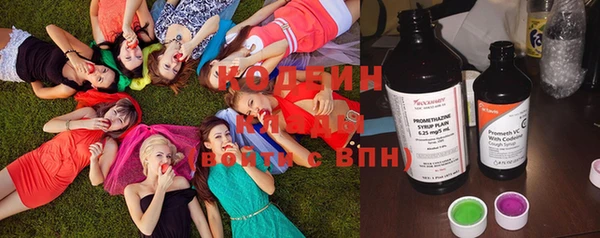 дживик Вязьма
