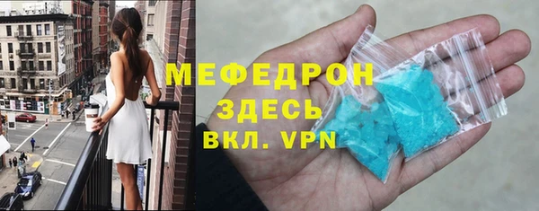 индика Горнозаводск