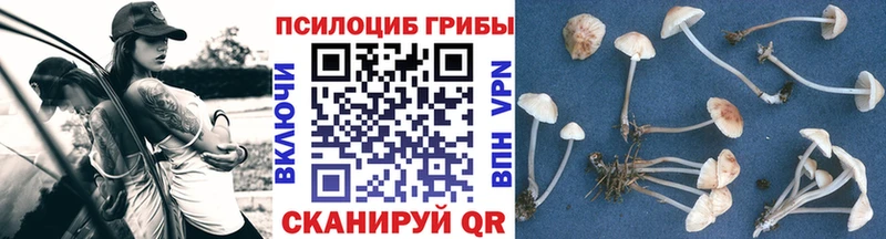 блэк спрут ONION  Железногорск-Илимский  мориарти формула  купить   Галлюциногенные грибы Psilocybine cubensis 